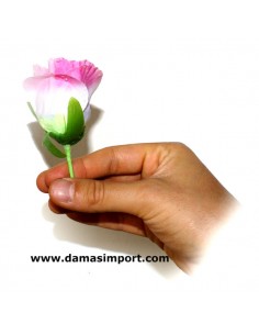 Rose dal Nulla - Apparizione del fiore | Damas Italia