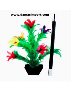 Fiorin Fiorello - Apparizione dei fiori De Luxe