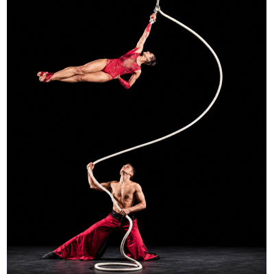 Corda Aerea Spagnola con Hand Loop Voltige | Damas Italia