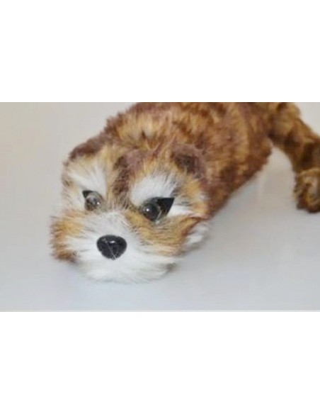 Racoon BIG - pupazzo Magico - Procione Mascotte