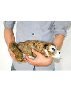 Racoon BIG - pupazzo Magico - Procione Mascotte
