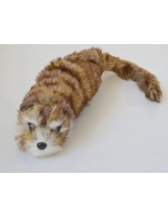 Racoon BIG - pupazzo Magico - Procione Mascotte