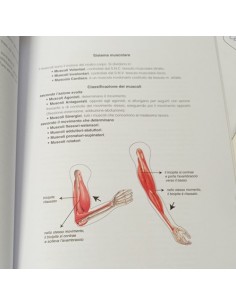 Libro Manuale di Cerchio Aereo | Damas Italia