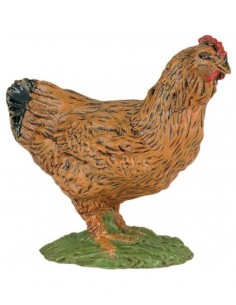 Miniature - Gallina marrone | Damas Italia