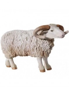 Miniature - Montone | Damas Italia