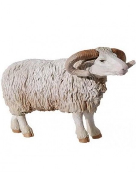 Miniature - Montone