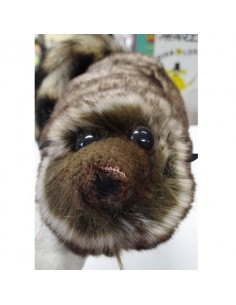 Racoon - pupazzo Magico - Procione Mascotte | Damas Italia