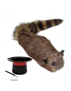 Racoon - pupazzo Magico - Procione Mascotte | Damas Italia