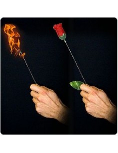 Da Torcia a Rosa | Damas Italia