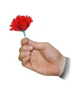 Da Fiammifero a Rosa | Damas Italia