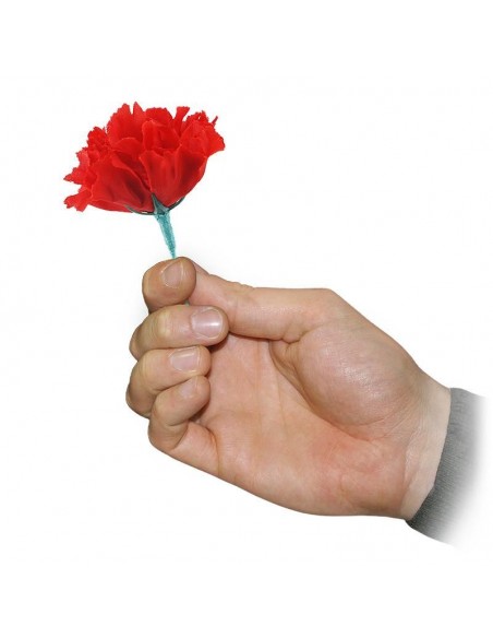 Da Fiammifero a Rosa