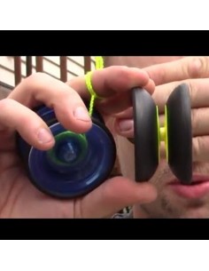 Yoyo Henry's Cobra - Damas Italia