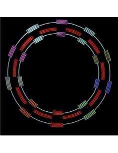 Poi Pixel Sticks Lumin-Art | Damas Italia