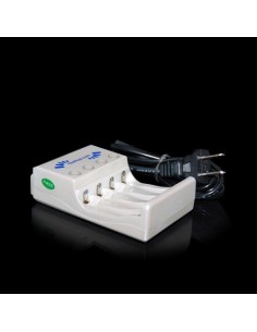 Carica Batteria per pile AA - AAA Flowtoys | Damas Italia