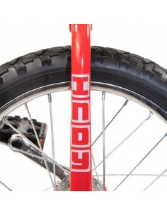 Monociclo Indy Trainer 20" - Rosso | Damas Italia
