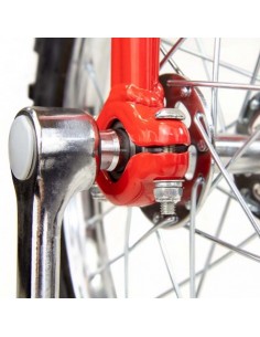 Monociclo Indy Trainer 20" - Rosso | Damas Italia