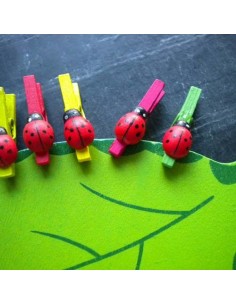 Mini Mollette Coccinella in legno | Damas Italia