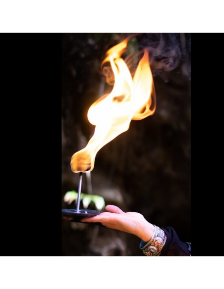 Manine Hand Fire Palm FNG