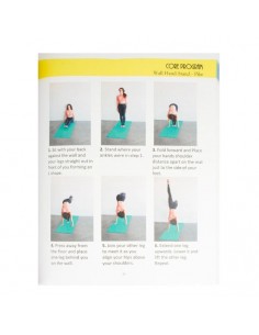 Libro Manuale Aerial Physique Fit di Jill Franklin