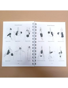Libro Metodologia Corde e Tessuto Aerea | Damas Italia