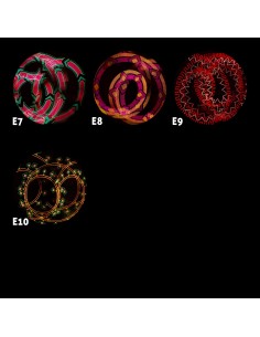 Poi Pixel Sticks Large 28 cm | Damas Italia
