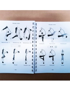 Libro Metodologia Cerchio Aereo | Damas Italia