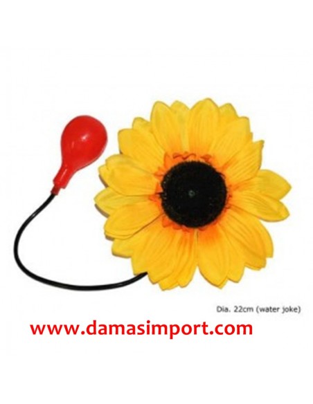 Girasole Fiore Spruzza Acqua