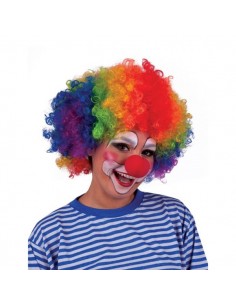Parrucca Clown Riccia Multicolor | Damas Italia