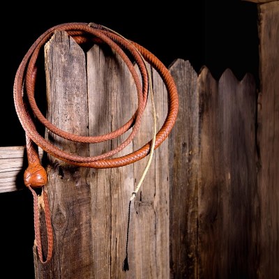 Fruste - Bullwhip